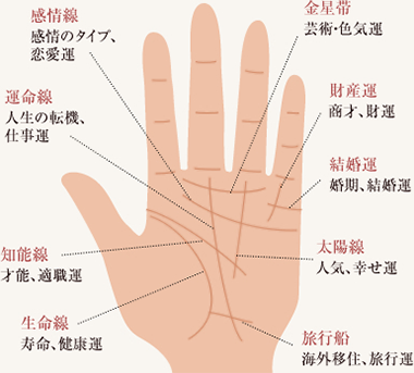 手相概要